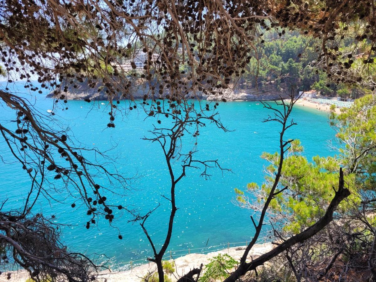 Villetta Roberto Le Macine Di Charme - Pugnochiuso Resort В'єсте Екстер'єр фото
