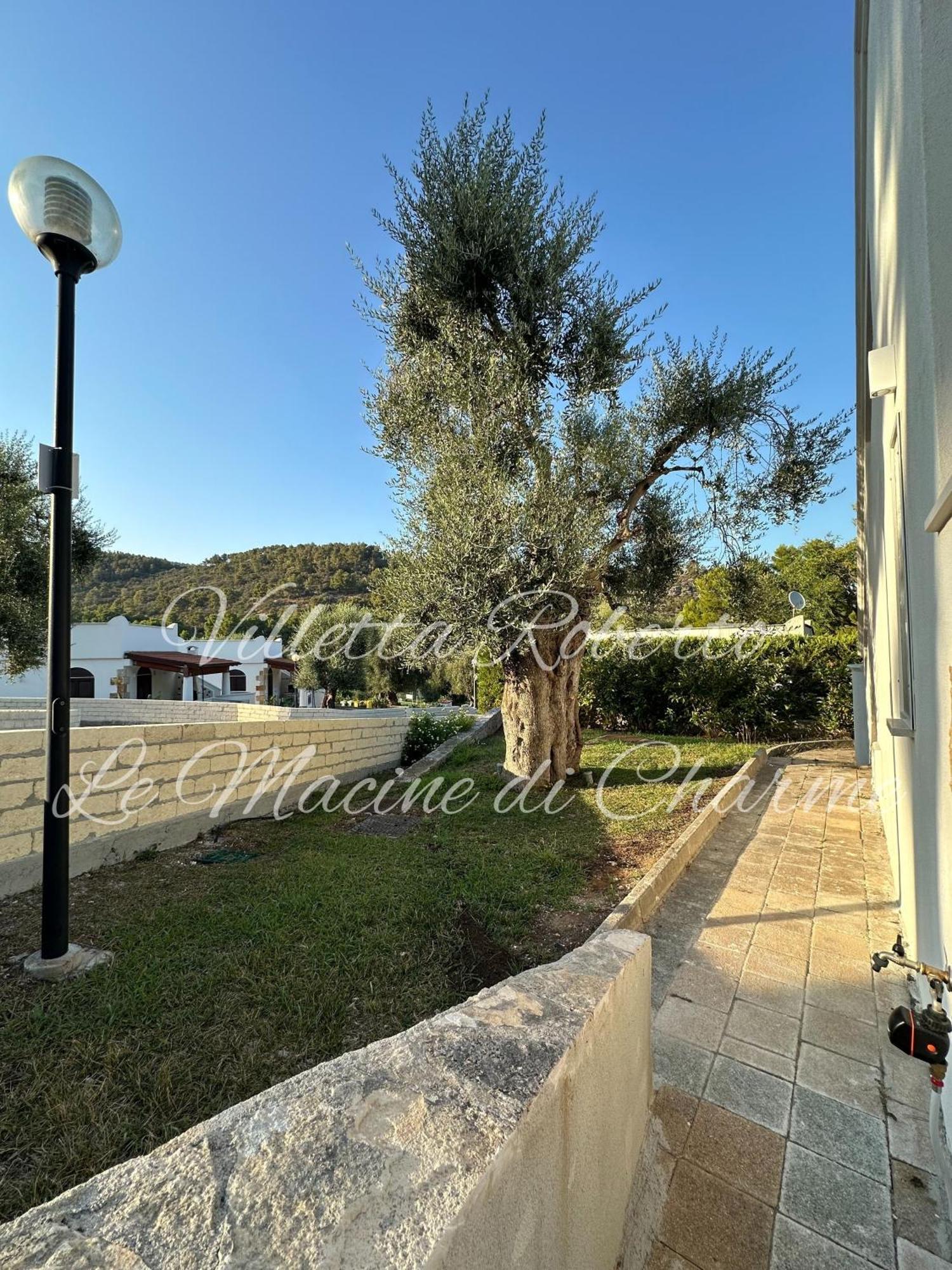 Villetta Roberto Le Macine Di Charme - Pugnochiuso Resort В'єсте Екстер'єр фото